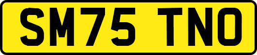 SM75TNO