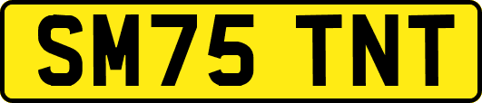 SM75TNT