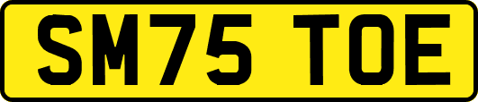 SM75TOE
