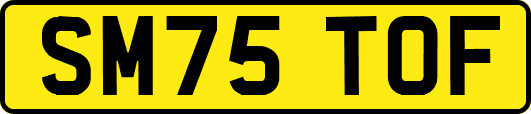 SM75TOF