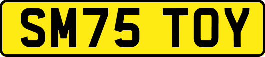 SM75TOY
