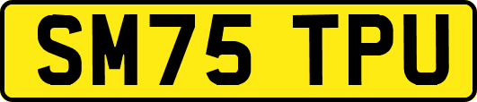 SM75TPU