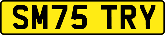 SM75TRY