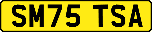 SM75TSA