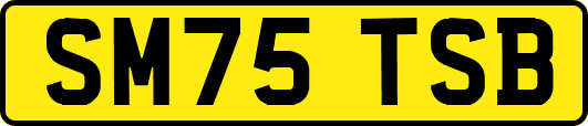 SM75TSB