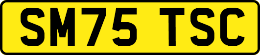 SM75TSC
