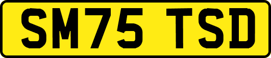 SM75TSD