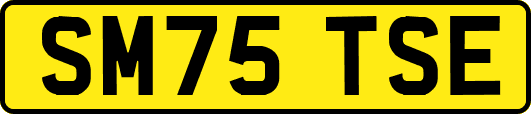 SM75TSE