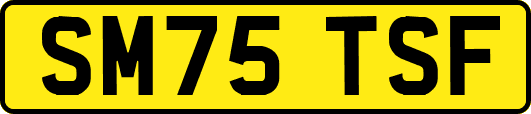 SM75TSF