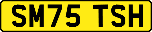 SM75TSH