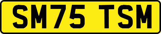 SM75TSM