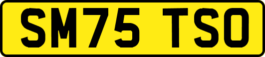 SM75TSO