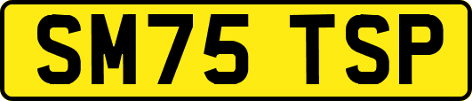 SM75TSP