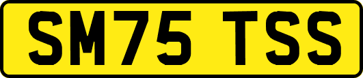 SM75TSS
