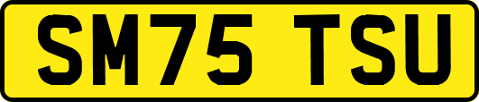 SM75TSU