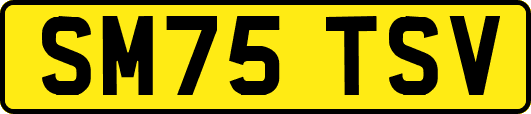 SM75TSV