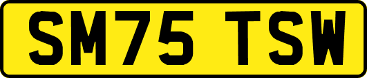 SM75TSW