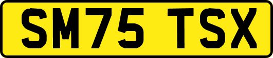 SM75TSX