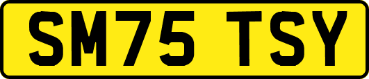 SM75TSY