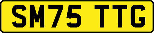 SM75TTG