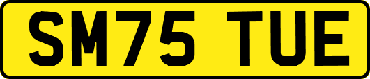 SM75TUE