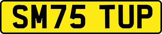 SM75TUP