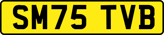 SM75TVB