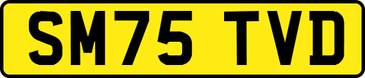 SM75TVD