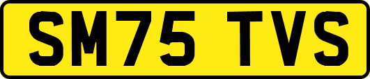 SM75TVS