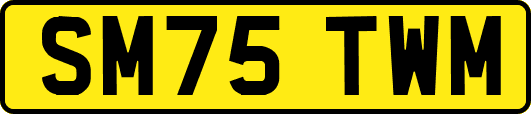 SM75TWM