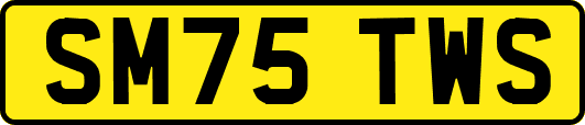 SM75TWS