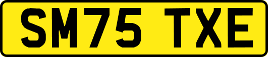 SM75TXE