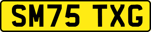 SM75TXG