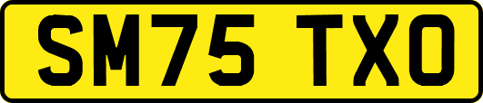 SM75TXO