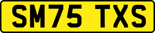 SM75TXS
