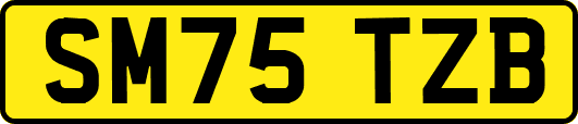 SM75TZB