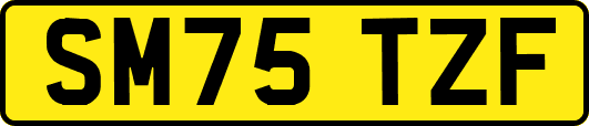 SM75TZF