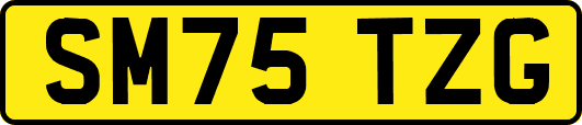 SM75TZG