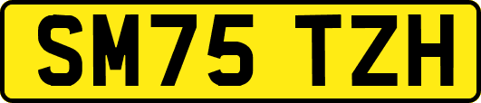 SM75TZH