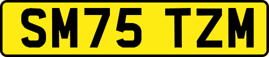 SM75TZM