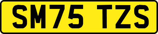 SM75TZS