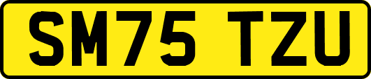 SM75TZU