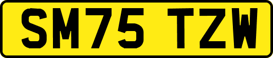 SM75TZW