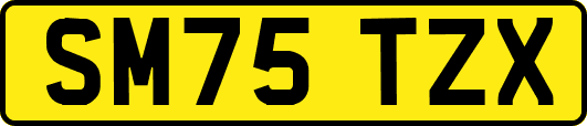 SM75TZX