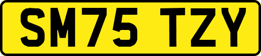 SM75TZY