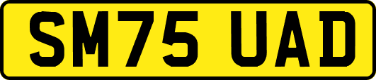 SM75UAD
