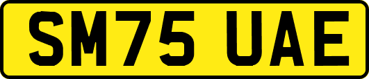 SM75UAE