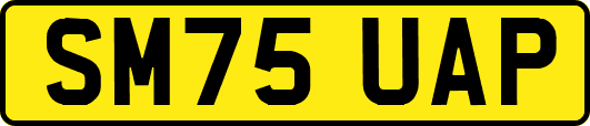 SM75UAP