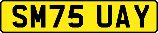 SM75UAY