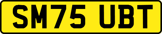 SM75UBT